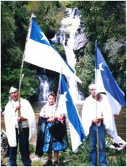 Exigen que empresa Forestal Mininco y Estado chileno restituyan derechos usurpados a Comunidades Map