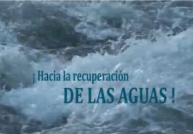 Video Reportaje manifestación movimiento
