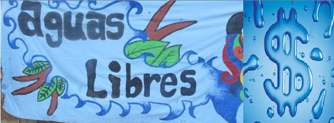 Negocios insaciables: Estados, transnacionales, derechos humanos y agua