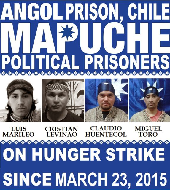 Maricheweu International -  For the Human Rights of the Mapuche people