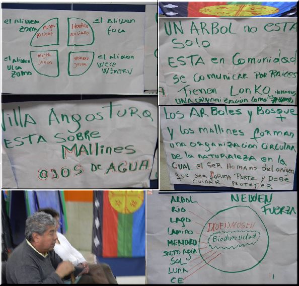 Posicionamiento de la comunidad mapuche Paicil Antriao sobre proyecto Ruta de circunvalación