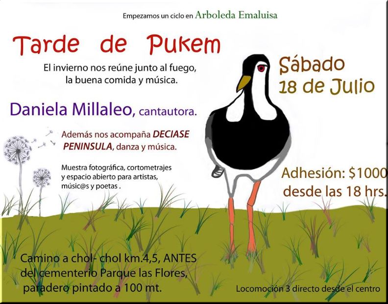 Temuco: Tarde de Pukem