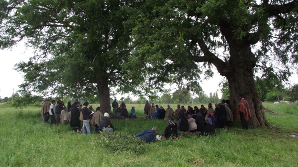 Alianza mapuche reafirma lucha contra los proyectos que amenazan sus territorios 