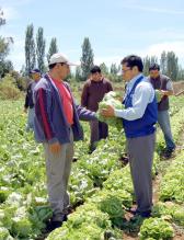 Mejor productividad con obras de riego para comunidades
