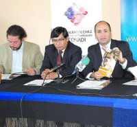 Región registra 49 quiebras vigentes 