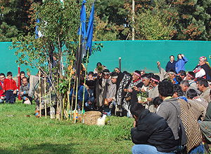 Comunidades mapuche dieron ultimátum al Presidente Piñera para que viaje a la zona