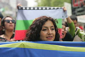 Elena Varela estrenó su documental "Newén Mapuche" tras seis años de trabajo y prisión
