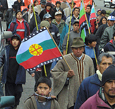 Comerciante de la Galería Ñielol de Temuco detenida por vender la bandera mapuche