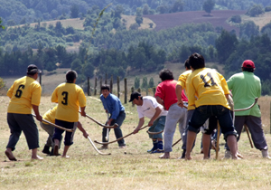 El palín se vivirá a plenitud en Temuco