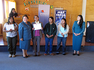20 mujeres de Cholchol fueron capacitadas en textilería mapuche gracias a Prodemu