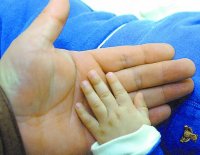 Región: entre las cuatro con más adopciones 