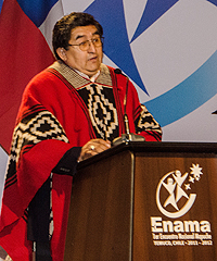 El Encuentro Nacional Mapuche (ENAMA)