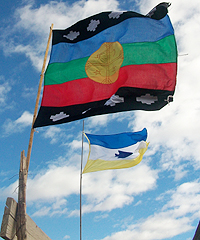 Gobierno argentino restituirá tierras a mapuches en el Parque Nacional Lanin