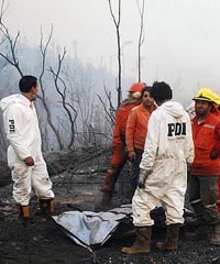 Dos detenidos y formalizados por incendios en Carahue. Ninguno es mapuche