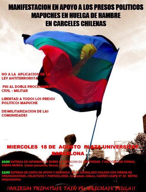 Manifestacion apoyo a presos mapuche en huelga de hambre