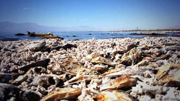 El paisaje apocalíptico del "mar muerto" de California