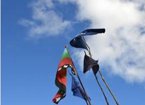 Comunidades Mapuche realizaron Trawun