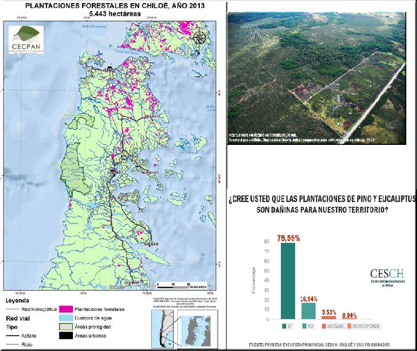 Preocupación en Chiloé por pérdida progresiva de bosque nativo, ecosistemas y fuentes de agua