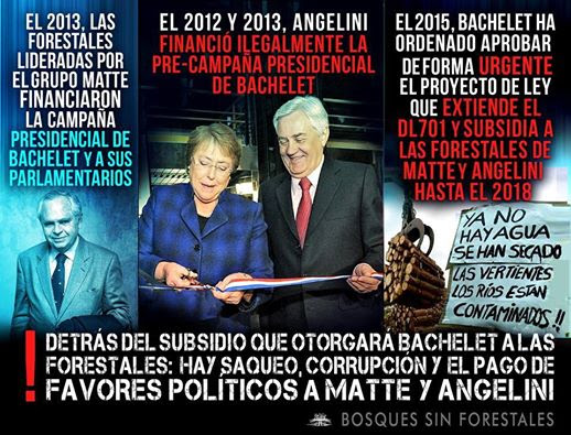 Liquida subsidio que benefició por décadas al Grupo Matte