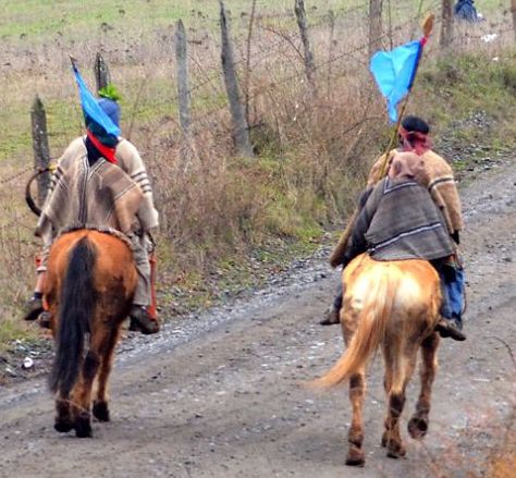 Comunero mapuche fue herido por agricultor en La Araucanía