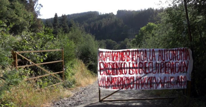 Apuntes para una historia de la Coordinadora Arauco Malleco (CAM)