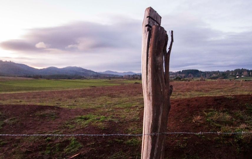 Allanan otra comunidad, mientras familias mapuche recuperan otro predio