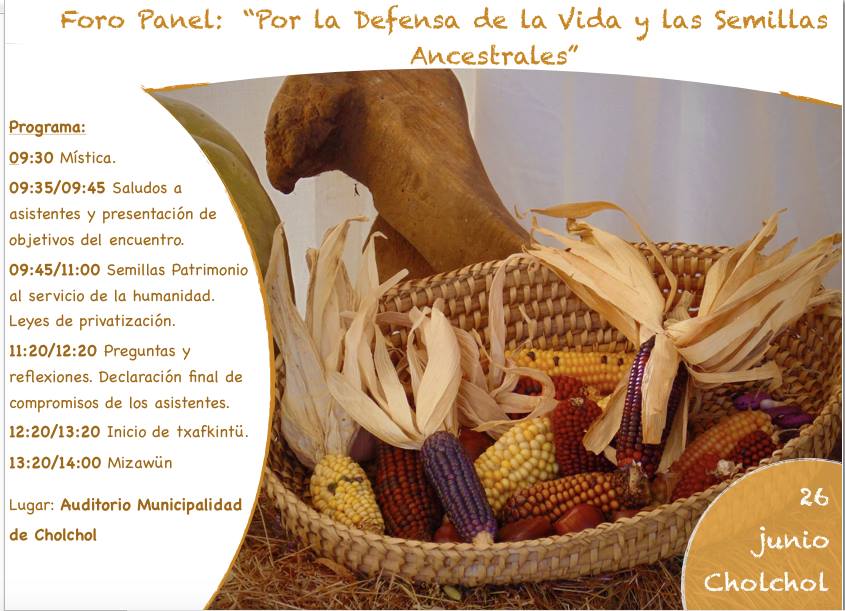 DEFENSA DE LA VIDA Y LAS SEMILLAS ANCESTRALES:  Foro Panel, Trafkintu, Misawun y Encuentro