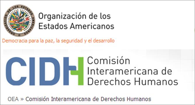 Denuncian impactos de la actividad empresarial en territorio mapuche 