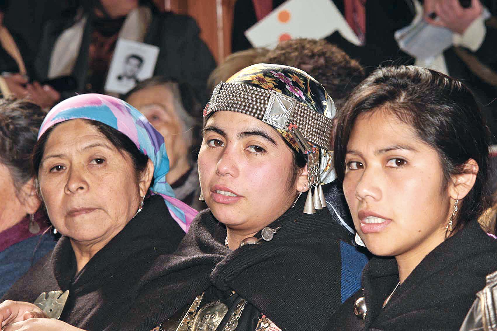 El ejemplo mapuche 
