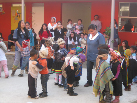 “La enseñanza del mapudungun debe iniciarse en los jardines infantiles” 