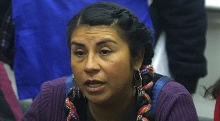 Mapuches inician huelga de hambre en la sede chilena de la UNICEF 