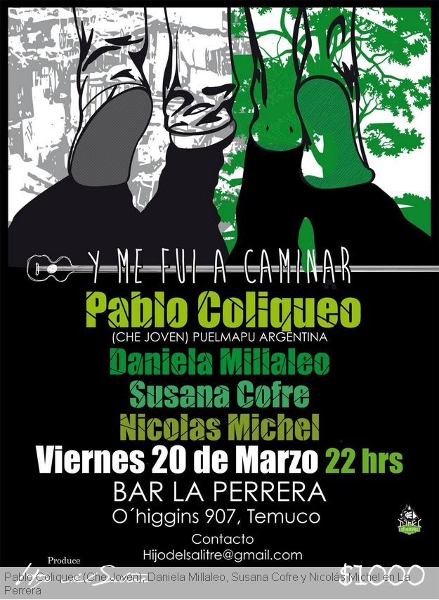Temuco :Pablo Coliqueo (Che Joven), Daniela Millaleo, Susana Cofre y Nicolás Michel 