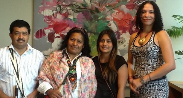 Indígenas colombianos comparten experiencias políticas con pueblo mapuche