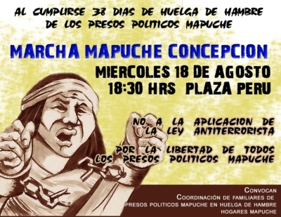 A 38 días de iniciada la huelga de hambre de nuestros peñi