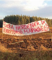 El Gobierno quiere mantener la figura terrorista en los mapuche