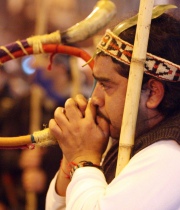 Alcaldes de La Araucanía exigen ser incluidos en mesa de diálogo con los mapuche