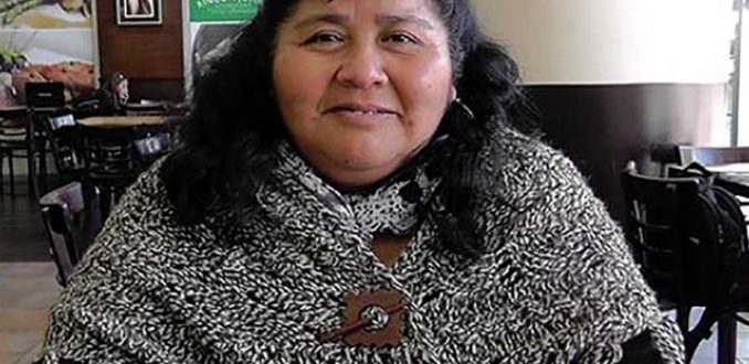 De las comunidades mapuche al Congreso Nacional