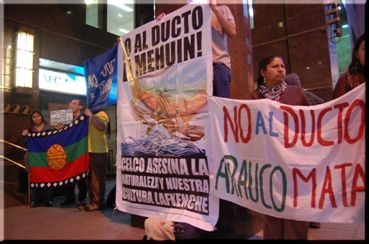Alerta en Mehuin por nuevo impulso de CELCO para imponer su ducto en el mar