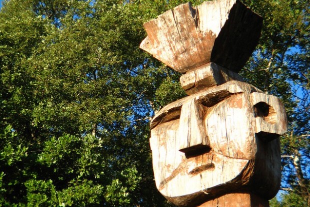 A propósito de la cumbre mapuche