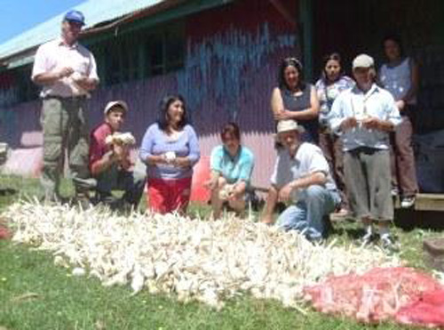 Cepal: El modelo agroexportador neoliberal debe pasar a la historia