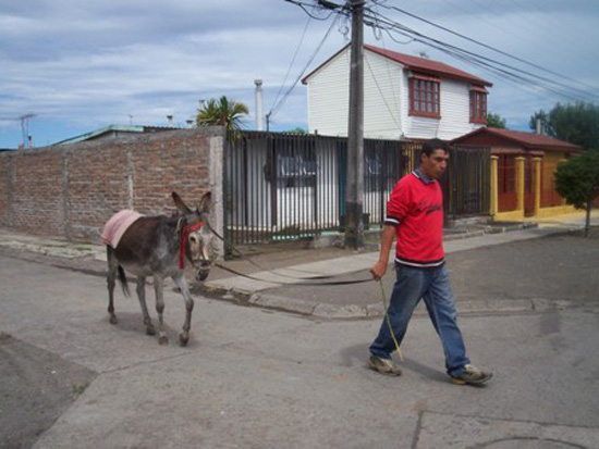 Leche de burra: La riqueza de un producto ancestral