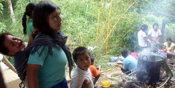 También en Colombia, los pueblos indígenas luchan por sobrevivir
