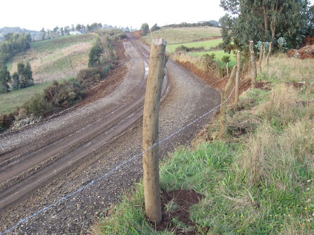 Mapuche Lafkenche realizan acción de protesta por vulneración a sus derechos de tierras y recursos n