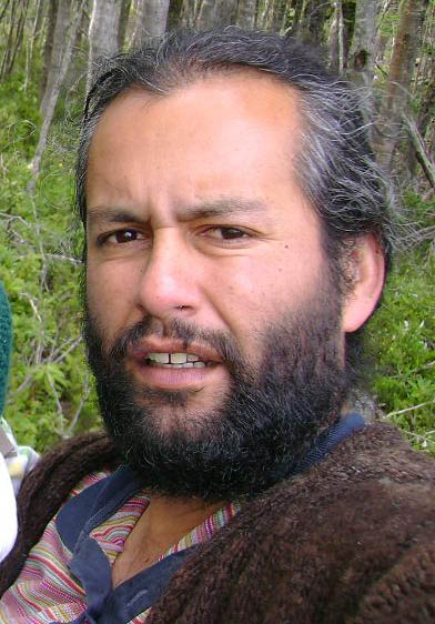 Preocupa la expansión de plantaciones forestales en Chiloé