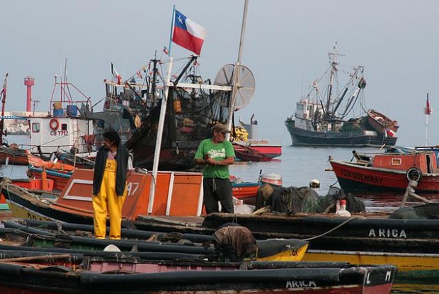 Lobby y acuerdos de última hora: Cómo se mueve el Senado ante discusión de Ley de Pesca