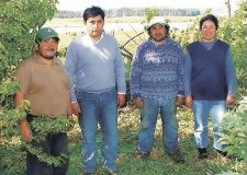Mapuches se la juegan por ser empresarios globales