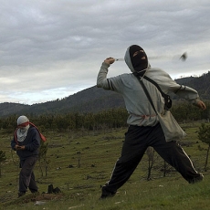 Encapuchados queman dos camiones en región de La Araucanía
