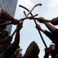 Piñera omite caso de presos mapuche en huelga de hambre