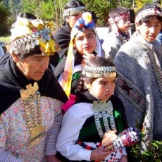 Informe Amnistía cuestiona trato a mapuches en Chile