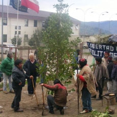 Mapuches recluidos en Angol permanecen en huelga de hambre